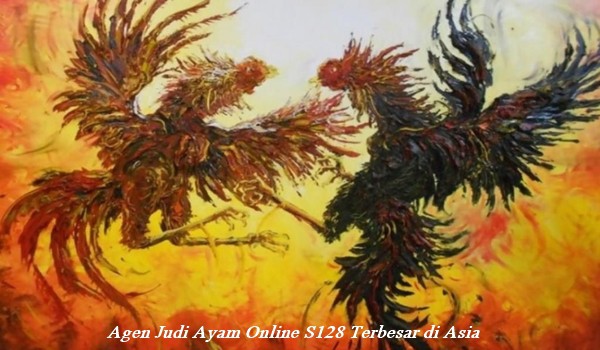 Agen Judi Ayam Online S128 Terbesar di Asia